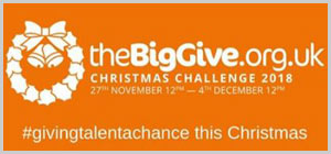 the BigGive